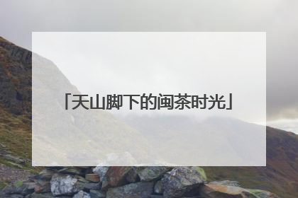 天山脚下的闽茶时光