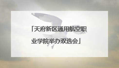 天府新区通用航空职业学院举办双选会