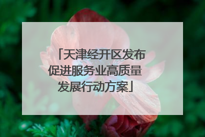 天津经开区发布促进服务业高质量发展行动方案
