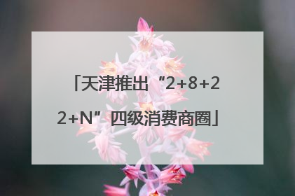 天津推出“2+8+22+N”四级消费商圈