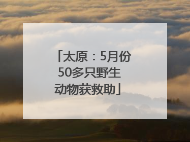 太原：5月份 50多只野生动物获救助
