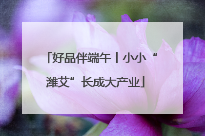 好品伴端午丨小小“潍艾”长成大产业