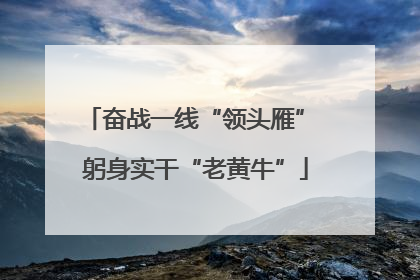 奋战一线“领头雁” 躬身实干“老黄牛”