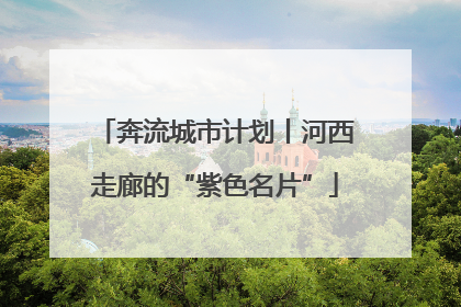 奔流城市计划丨河西走廊的“紫色名片”