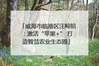 威海市临港区汪疃镇：激活“苹果+” 打造智慧农业生态圈