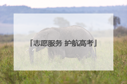 志愿服务 护航高考