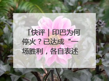 快评｜印巴为何停火？已达成“一场胜利，各自表述”的效果