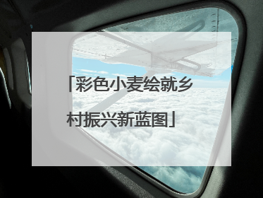 彩色小麦绘就乡村振兴新蓝图