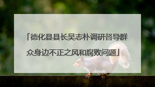 德化县县长吴志朴调研督导群众身边不正之风和腐败问题