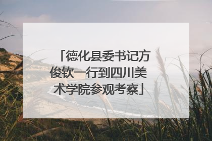 德化县委书记方俊钦一行到四川美术学院参观考察