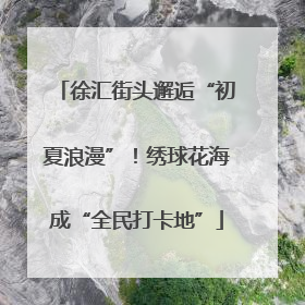 徐汇街头邂逅“初夏浪漫”！绣球花海成“全民打卡地”