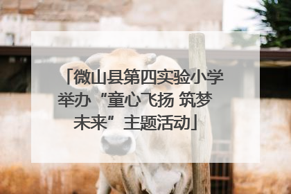 微山县第四实验小学举办“童心飞扬 筑梦未来”主题活动