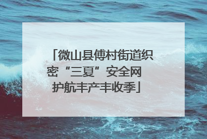 微山县傅村街道织密“三夏”安全网 护航丰产丰收季