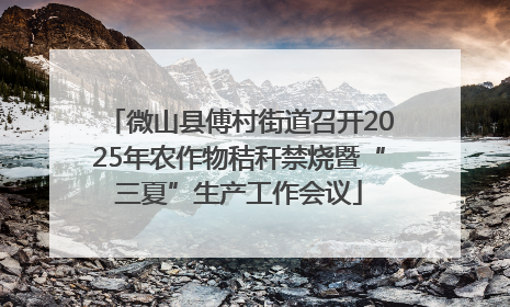 微山县傅村街道召开2025年农作物秸秆禁烧暨“三夏”生产工作会议