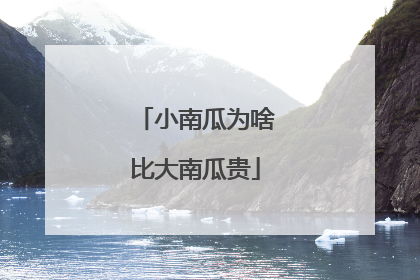 小南瓜为啥比大南瓜贵