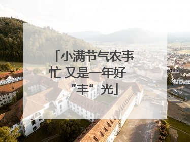 小满节气农事忙 又是一年好“丰”光