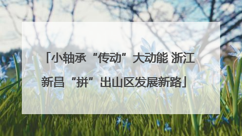 小轴承“传动”大动能 浙江新昌“拼”出山区发展新路