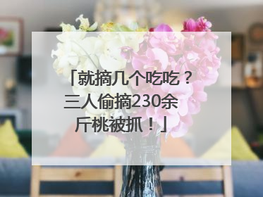 就摘几个吃吃？三人偷摘230余斤桃被抓！