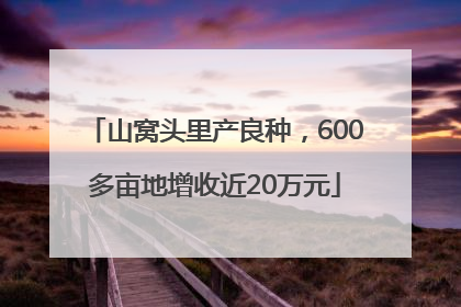 山窝头里产良种，600多亩地增收近20万元