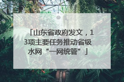 山东省政府发文，13项主要任务推动省级水网“一网统管”