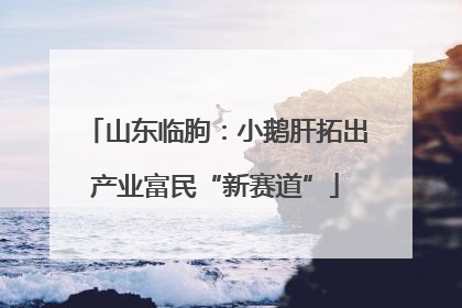 山东临朐：小鹅肝拓出产业富民“新赛道”