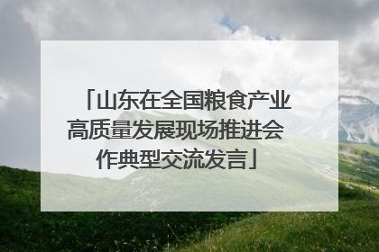 山东在全国粮食产业高质量发展现场推进会作典型交流发言