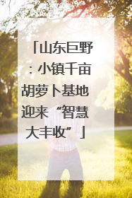 山东巨野：小镇千亩胡萝卜基地迎来“智慧大丰收”