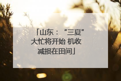 山东：“三夏”大忙将开始 机收减损在田间