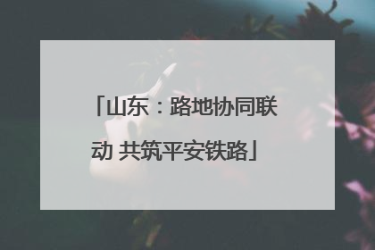 山东：路地协同联动 共筑平安铁路