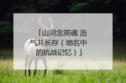 山河念英魂 浩气共长存(地名中的抗战记忆)