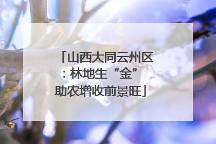 山西大同云州区：林地生“金” 助农增收前景旺