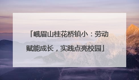 峨眉山桂花桥镇小：劳动赋能成长，实践点亮校园