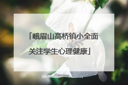 峨眉山高桥镇小全面关注学生心理健康