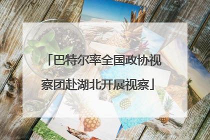 巴特尔率全国政协视察团赴湖北开展视察