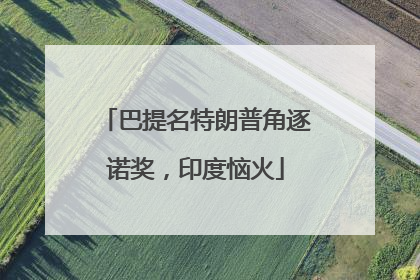 巴提名特朗普角逐诺奖，印度恼火