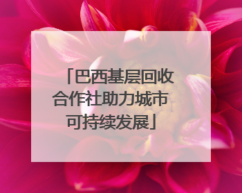 巴西基层回收合作社助力城市可持续发展