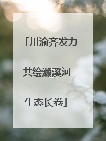 川渝齐发力 共绘濑溪河生态长卷