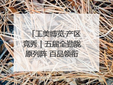 工美博览·产区竞秀｜五届全勤陇原列阵 百品领衔甘肃出彩