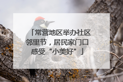 常营地区举办社区邻里节，居民家门口感受“小美好”