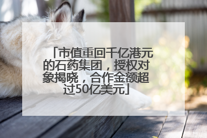 市值重回千亿港元的石药集团，授权对象揭晓，合作金额超过50亿美元