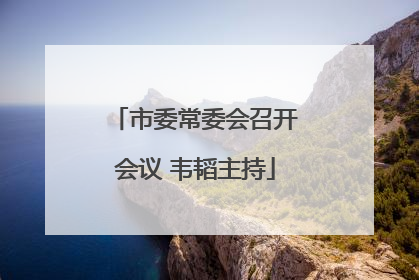 市委常委会召开会议 韦韬主持