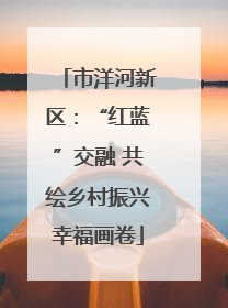 市洋河新区：“红蓝”交融 共绘乡村振兴幸福画卷