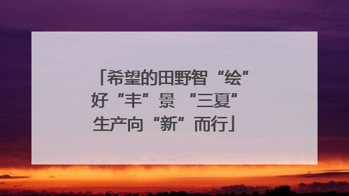 希望的田野智“绘”好“丰”景 “三夏”生产向“新”而行