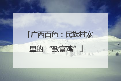广西百色：民族村寨里的 “致富鸡”