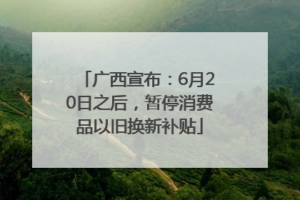 广西宣布：6月20日之后，暂停消费品以旧换新补贴