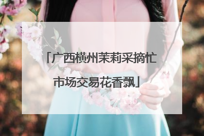 广西横州茉莉采摘忙 市场交易花香飘