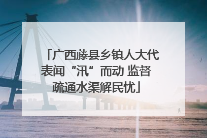 广西藤县乡镇人大代表闻“汛”而动 监督疏通水渠解民忧