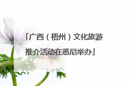 广西（梧州）文化旅游推介活动在悉尼举办