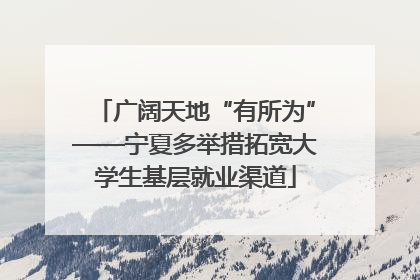 广阔天地“有所为”——宁夏多举措拓宽大学生基层就业渠道