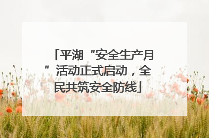 平湖“安全生产月”活动正式启动，全民共筑安全防线
